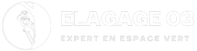 logo elagage03 transparent